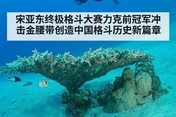 宋亚东终极格斗大赛力克前冠军冲击金腰带创造中国格斗历史新篇章